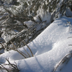 20200914142051-12b276cf